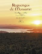 Reguengos de Monsaraz - a vinha e o vinho